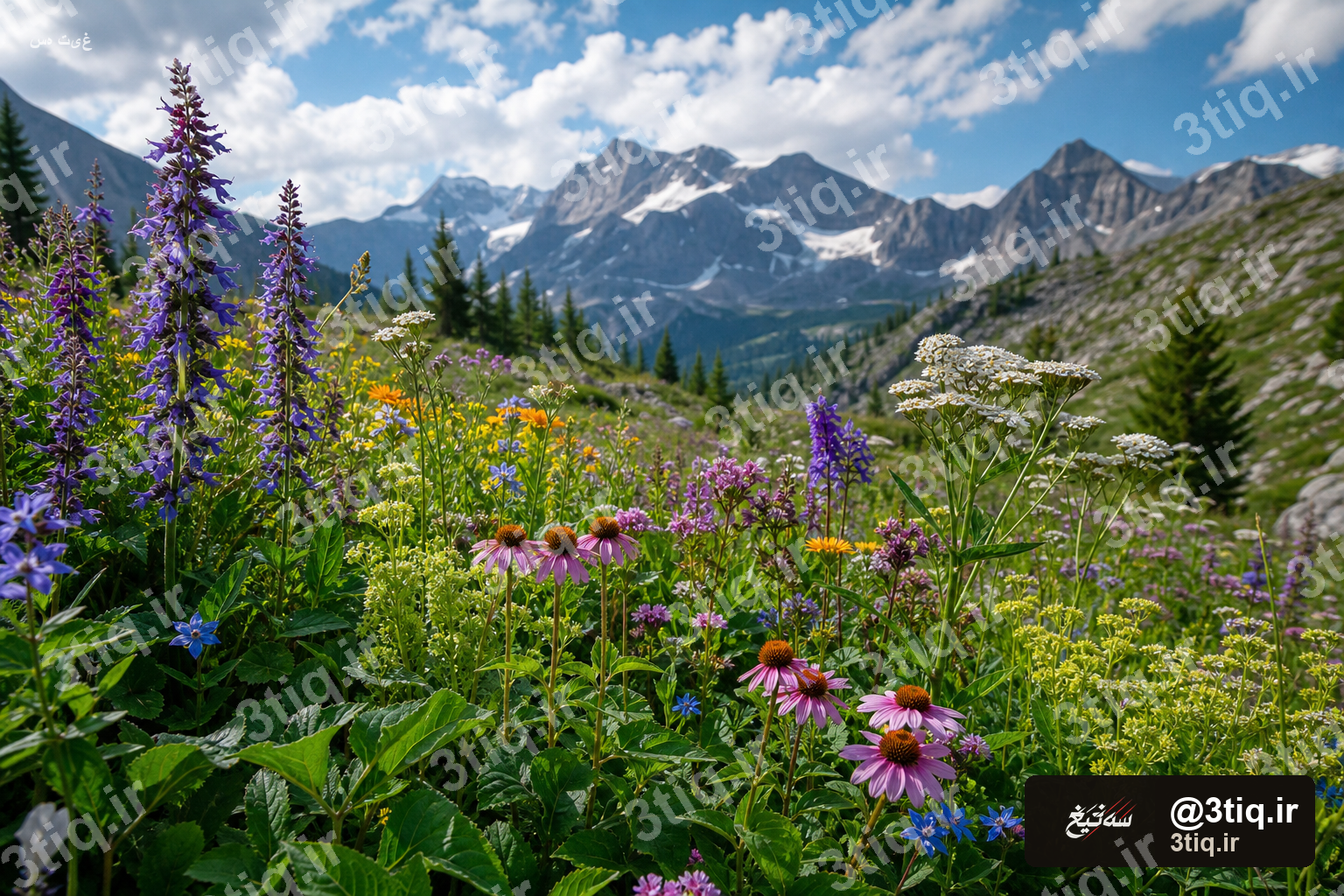 Leave No Trace