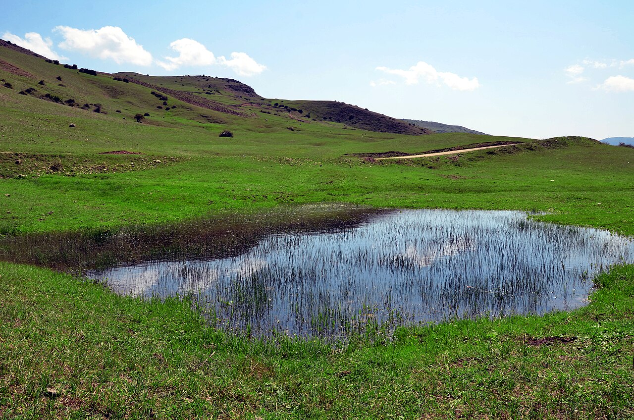 درفک